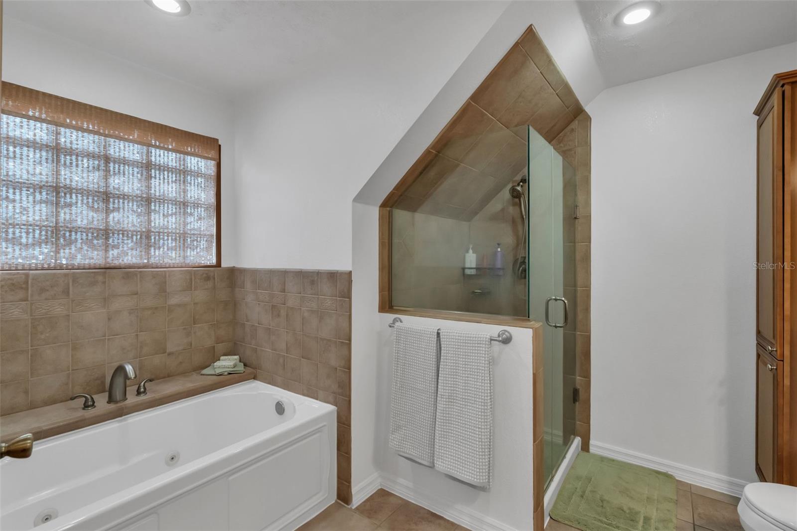 9610 NELLIE HILLS CT, CLERMONT, FL — photo 59