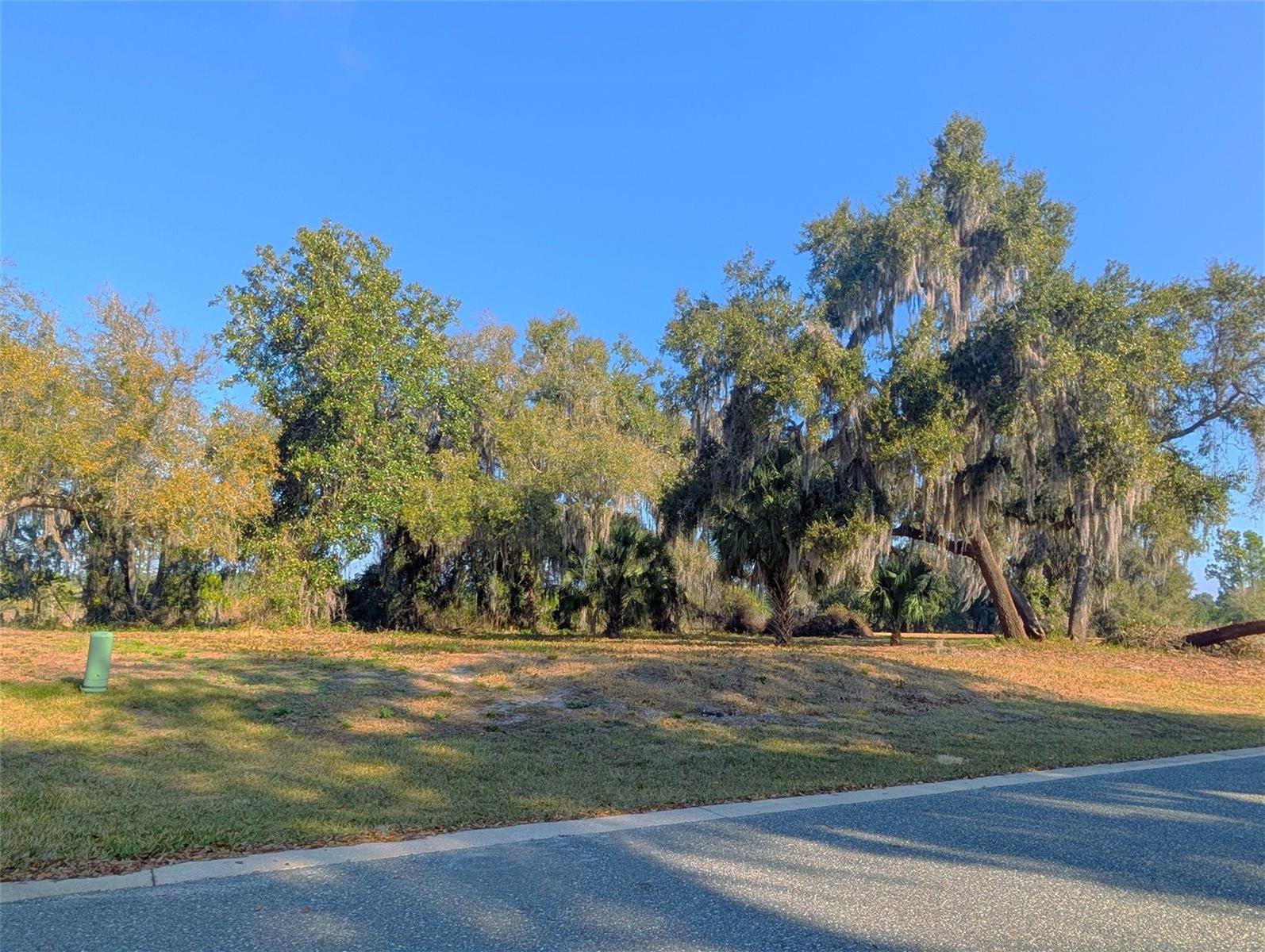 446 LONG AND WINDING RD, HOWEY IN THE HILLS, FL