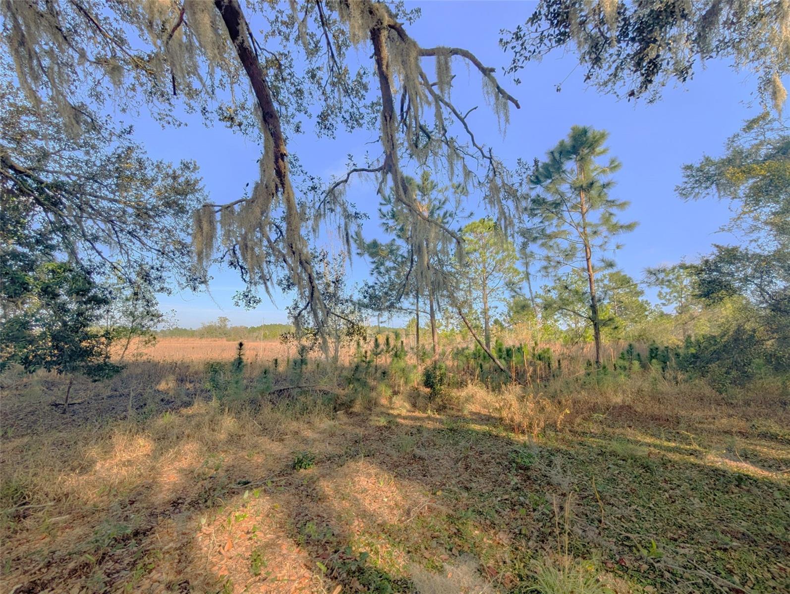 446 LONG AND WINDING RD, HOWEY IN THE HILLS, FL — photo 56