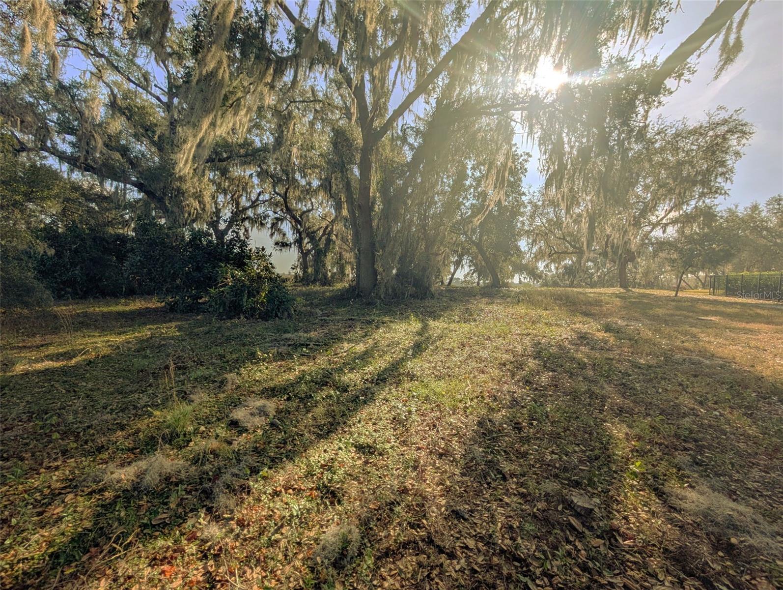 446 LONG AND WINDING RD, HOWEY IN THE HILLS, FL — photo 57