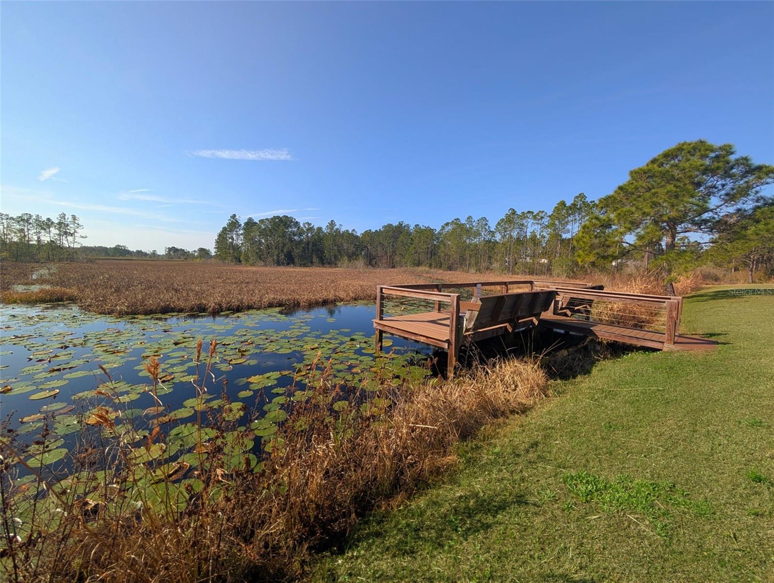 446 LONG AND WINDING RD, HOWEY IN THE HILLS, FL — photo 61