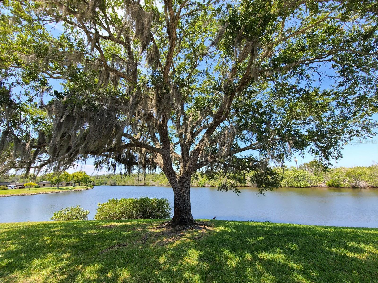 4120 STRATFORD DR, NEW PORT RICHEY, FL — photo 4
