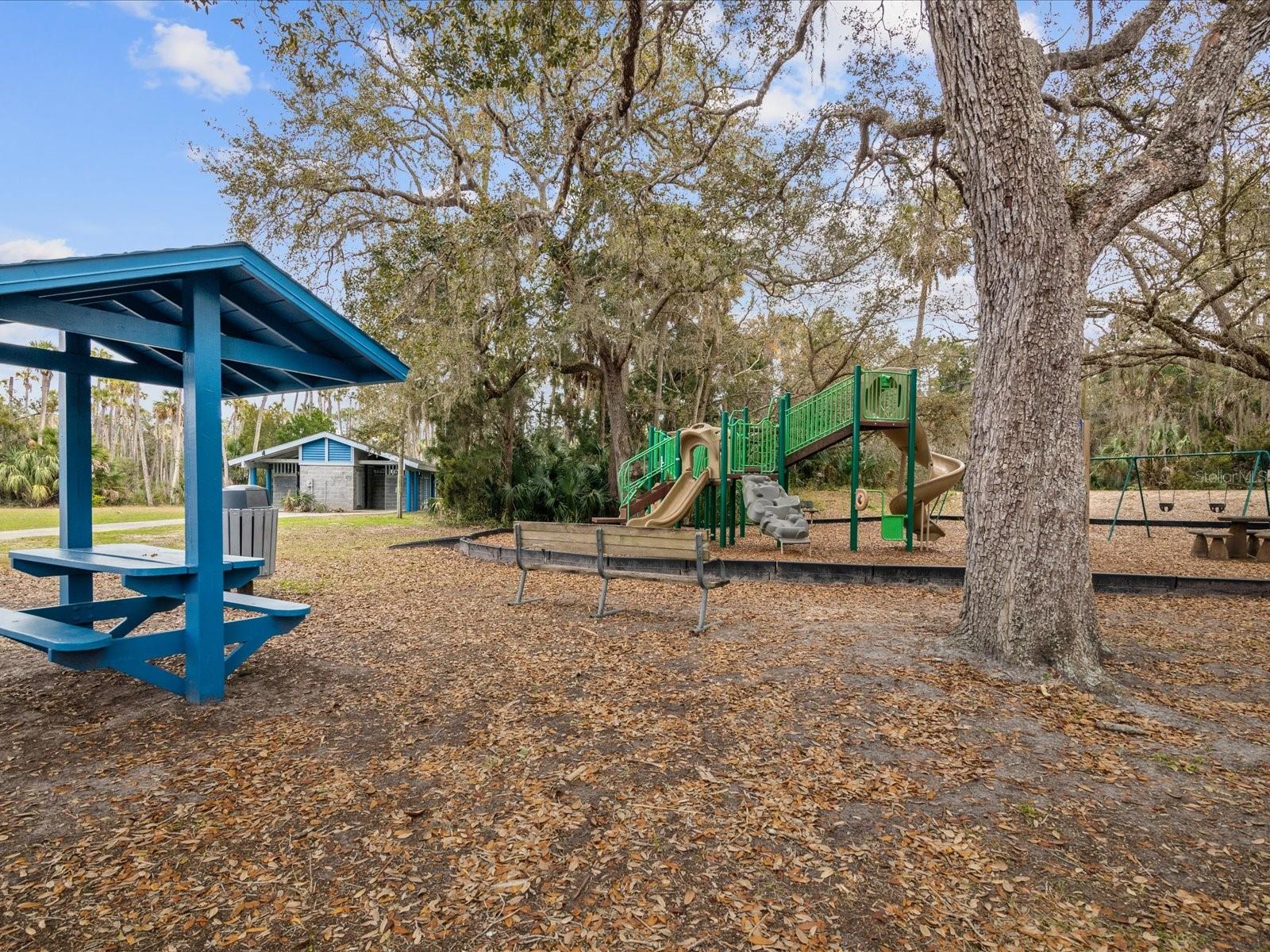 6419 W RICHARD DR, WEEKI WACHEE, FL — photo 59