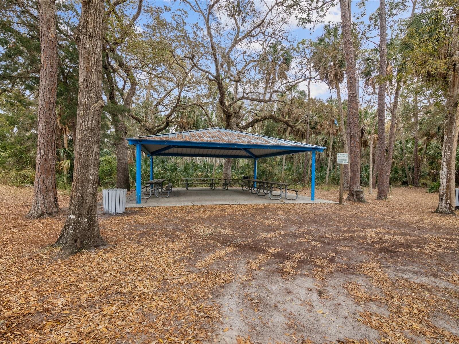 6419 W RICHARD DR, WEEKI WACHEE, FL — photo 60
