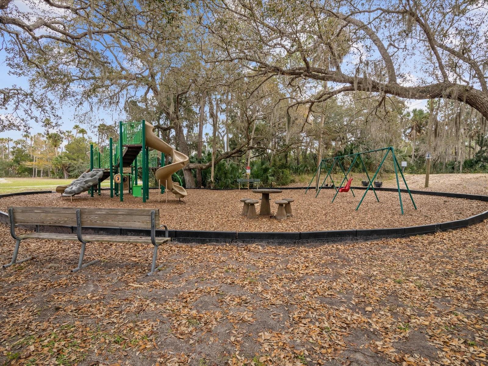 6419 W RICHARD DR, WEEKI WACHEE, FL — photo 61