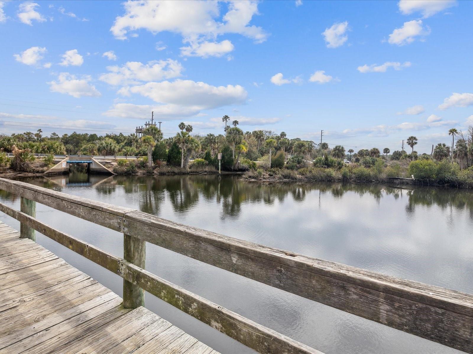 6419 W RICHARD DR, WEEKI WACHEE, FL — photo 64