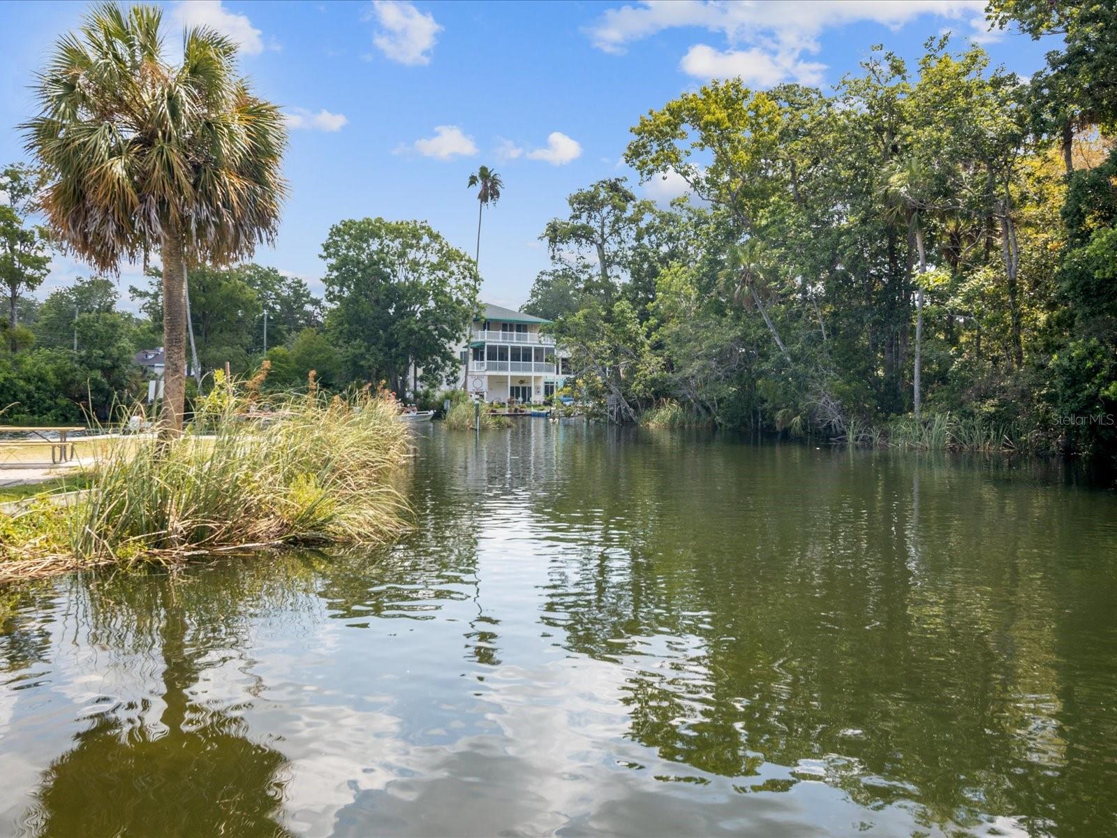 6419 W RICHARD DR, WEEKI WACHEE, FL — photo 69