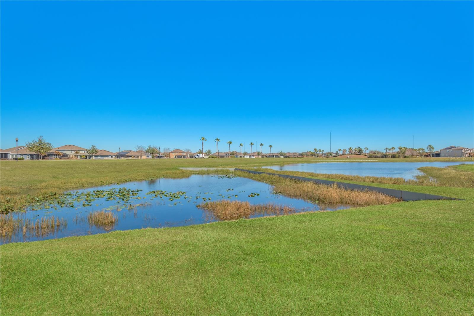 11908 GREENCHOP PL, RIVERVIEW, FL — photo 35