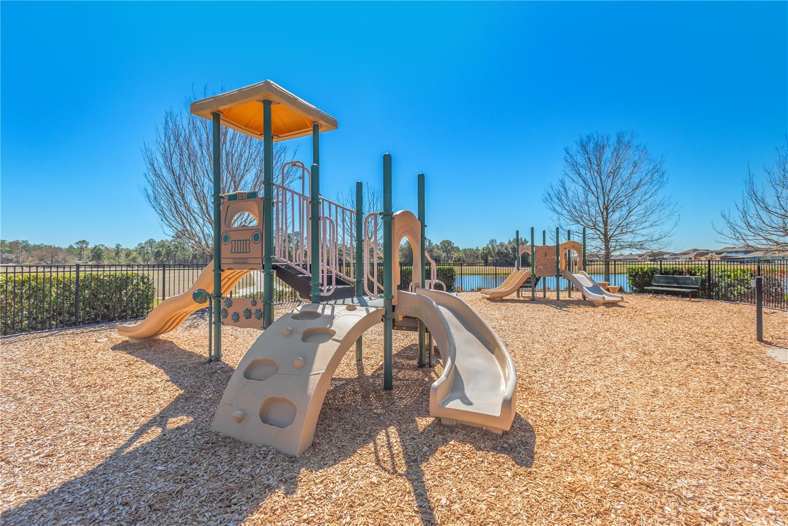 11908 GREENCHOP PL, RIVERVIEW, FL — photo 39