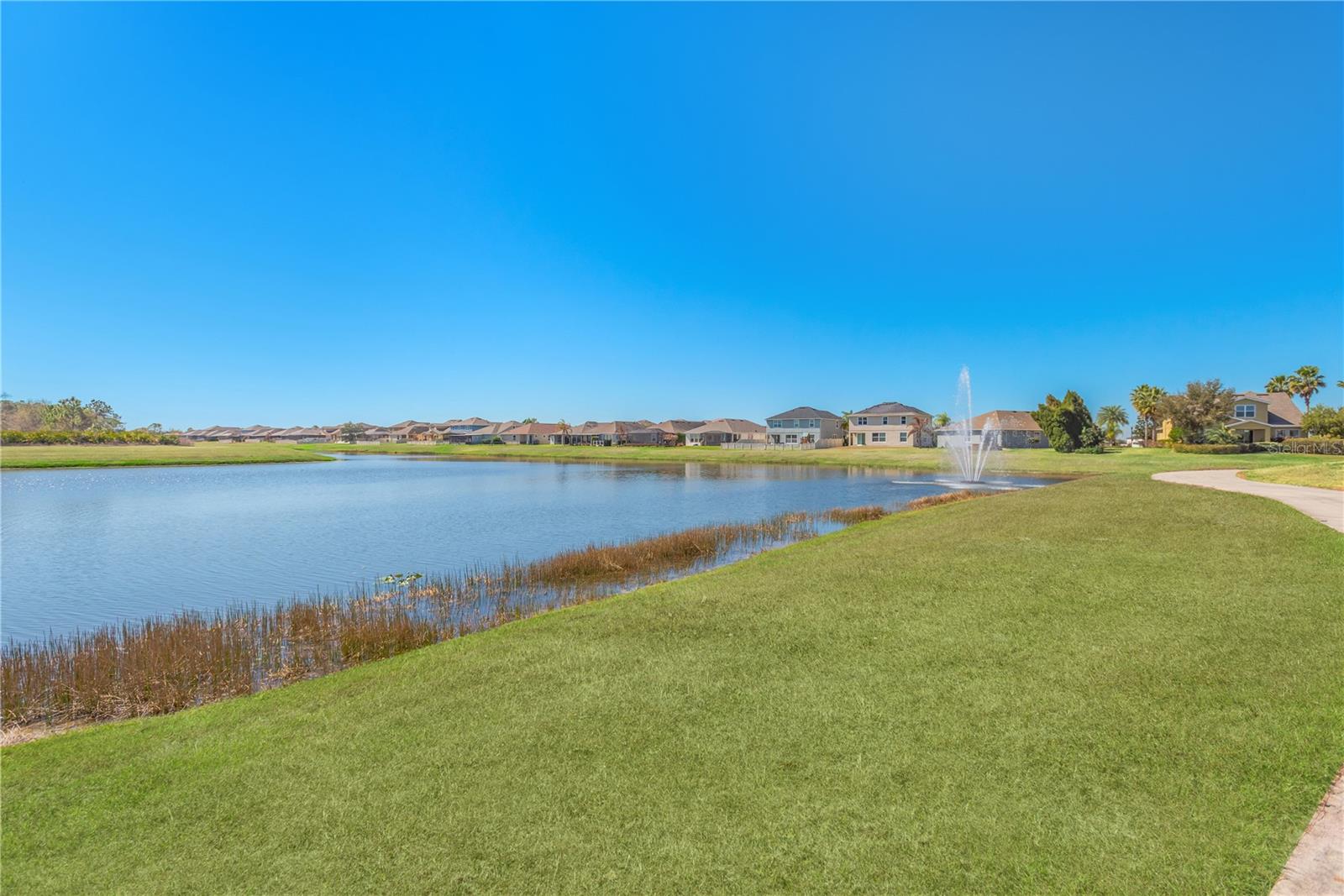 11908 GREENCHOP PL, RIVERVIEW, FL — photo 36