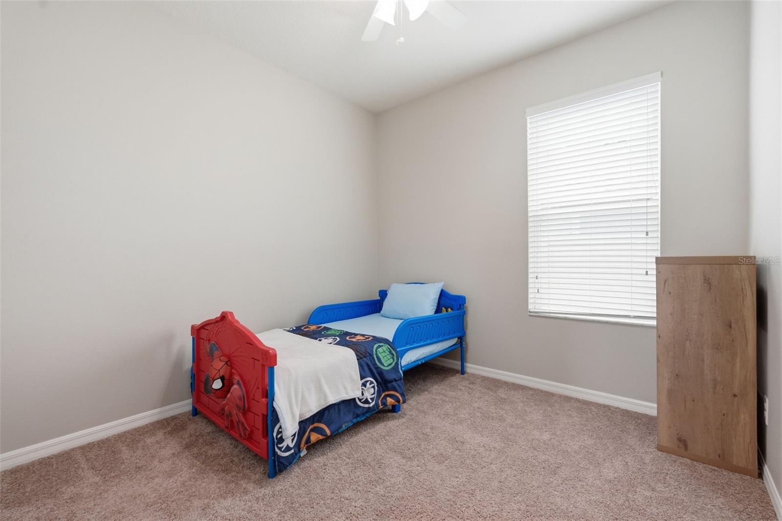 11908 GREENCHOP PL, RIVERVIEW, FL — photo 23