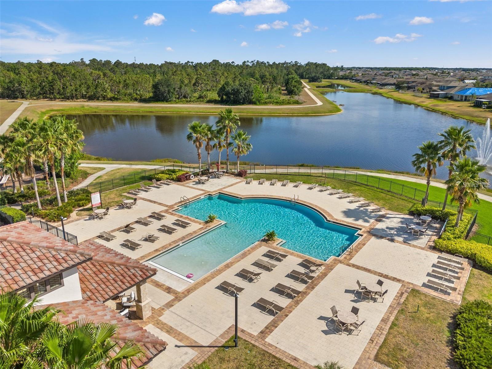 11908 GREENCHOP PL, RIVERVIEW, FL — photo 43