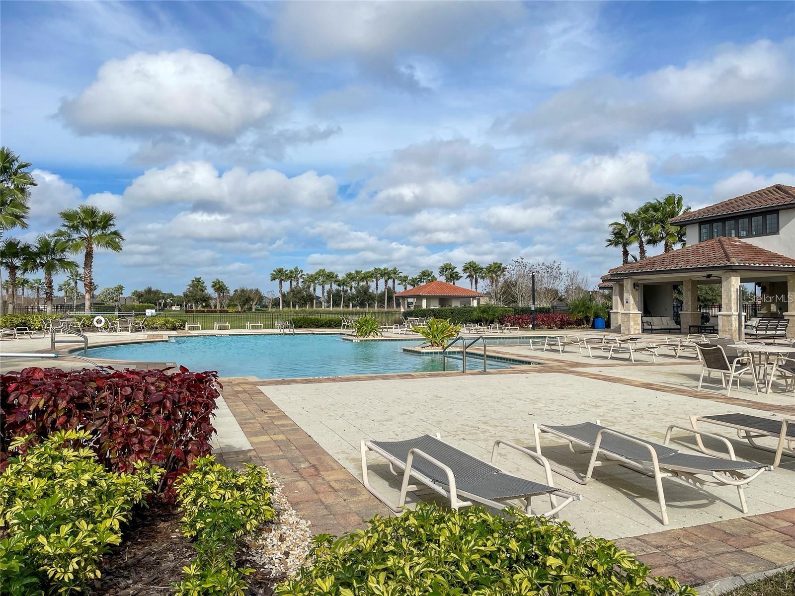 11908 GREENCHOP PL, RIVERVIEW, FL — photo 44