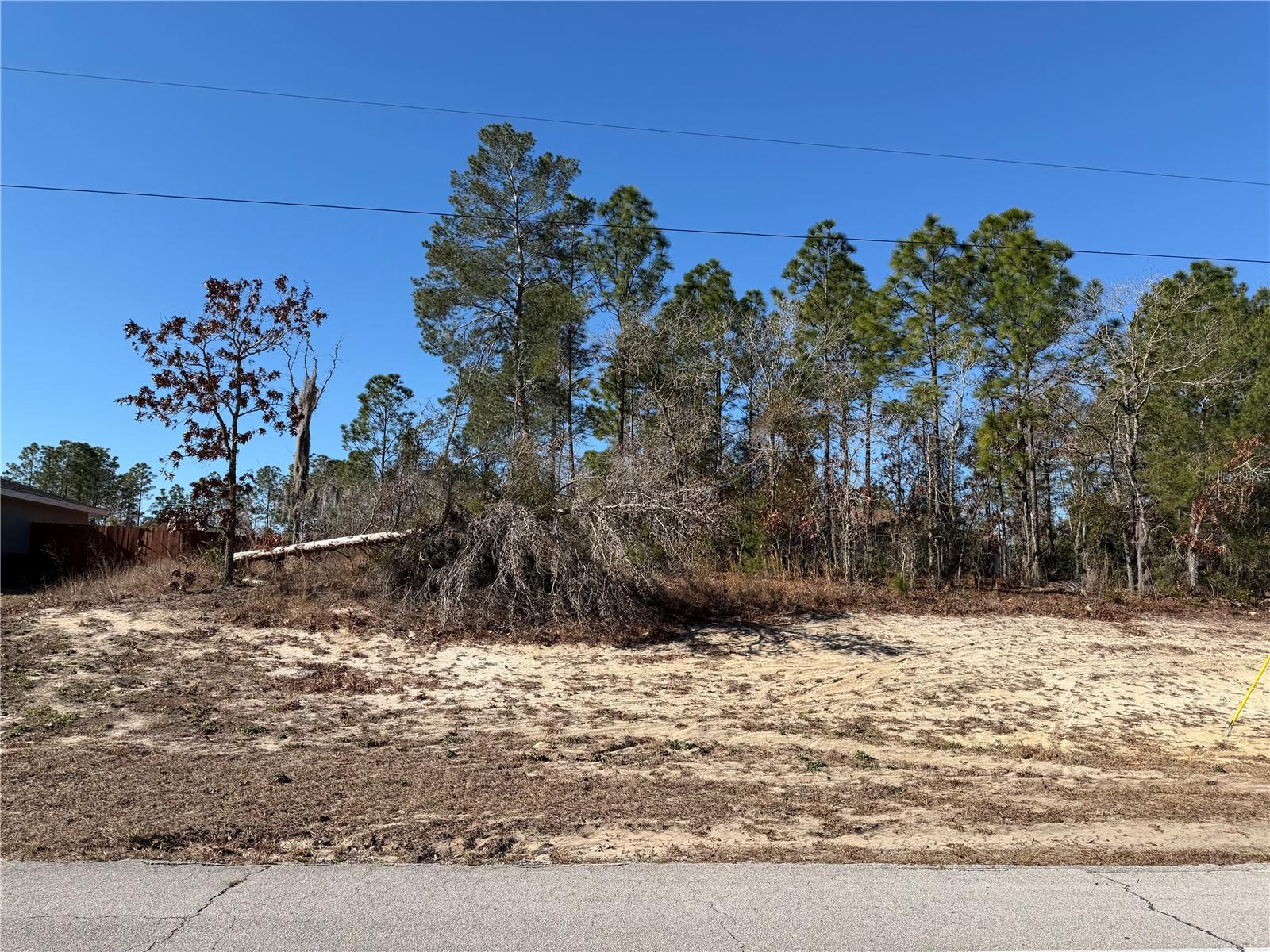 SW 135TH STREET ROAD LOT 12, OCALA, FL