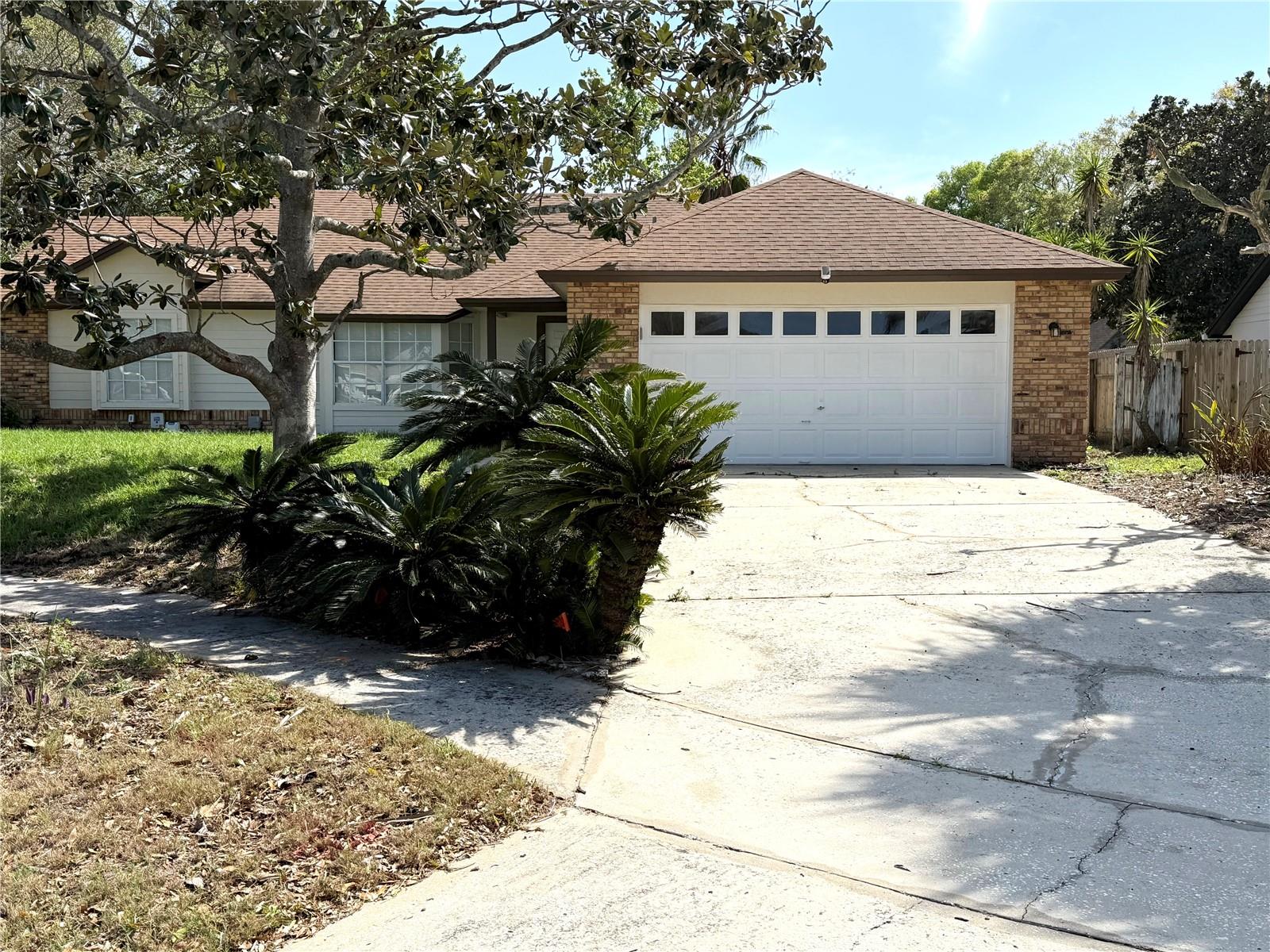 2419 LIELA LEE CT, OCOEE, FL