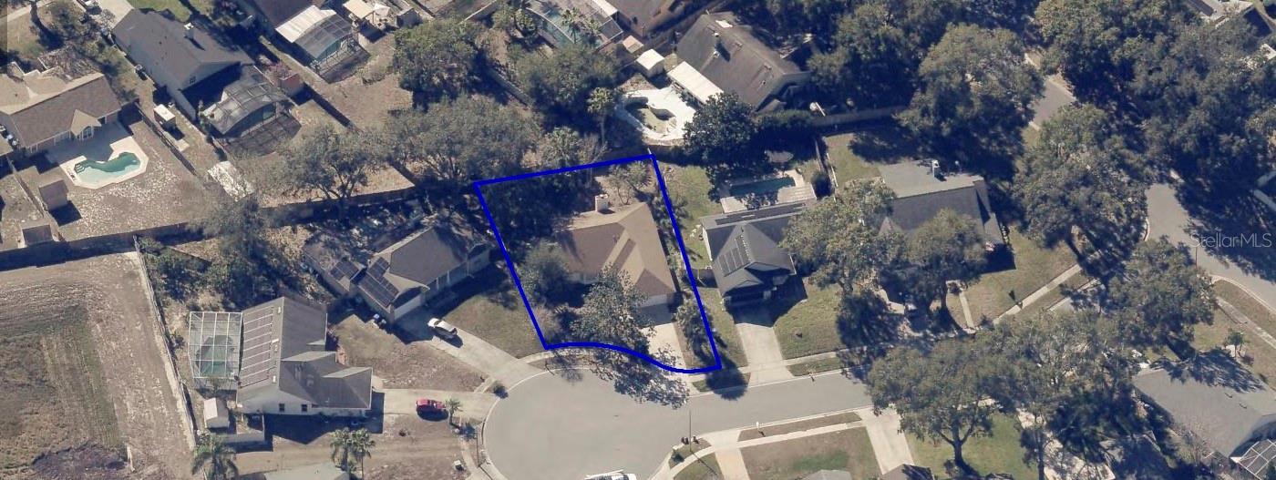 2419 LIELA LEE CT, OCOEE, FL — photo 2