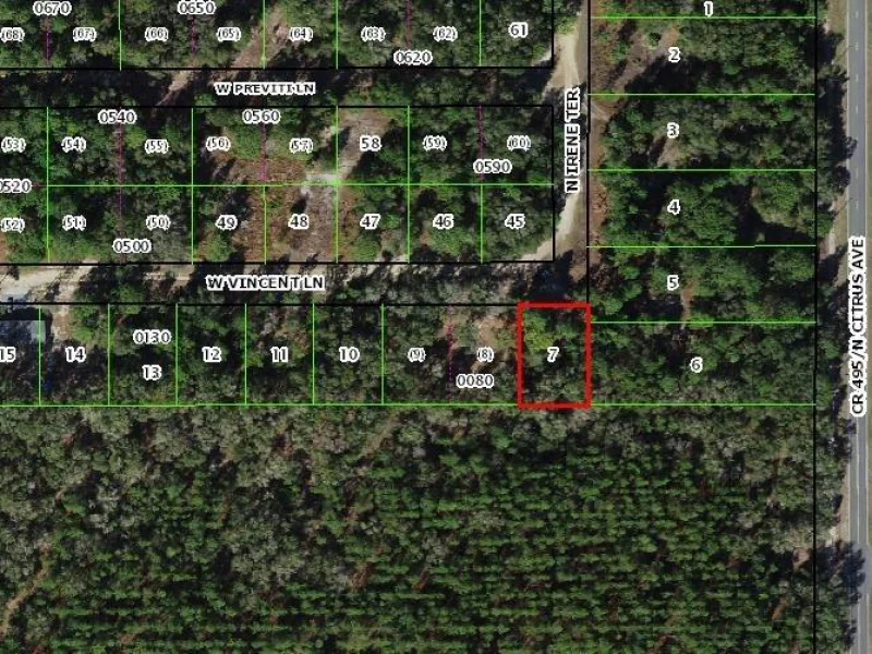 8100 W VINCENT LN, CRYSTAL RIVER, FL