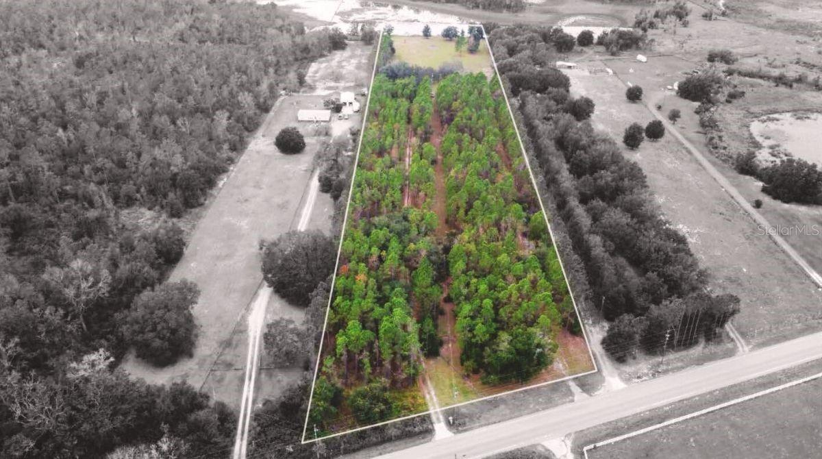 19751 COUNTY ROAD 33, GROVELAND, FL — photo 3