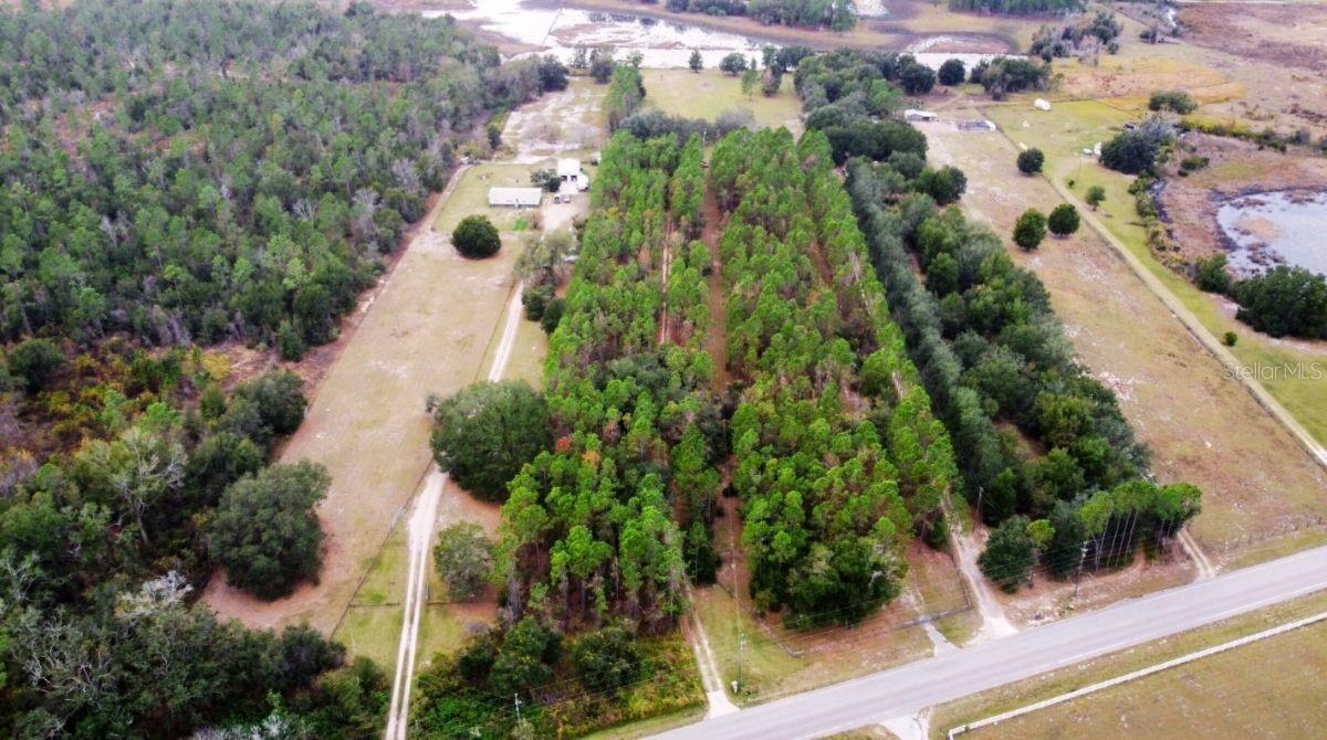 19751 COUNTY ROAD 33, GROVELAND, FL — photo 5