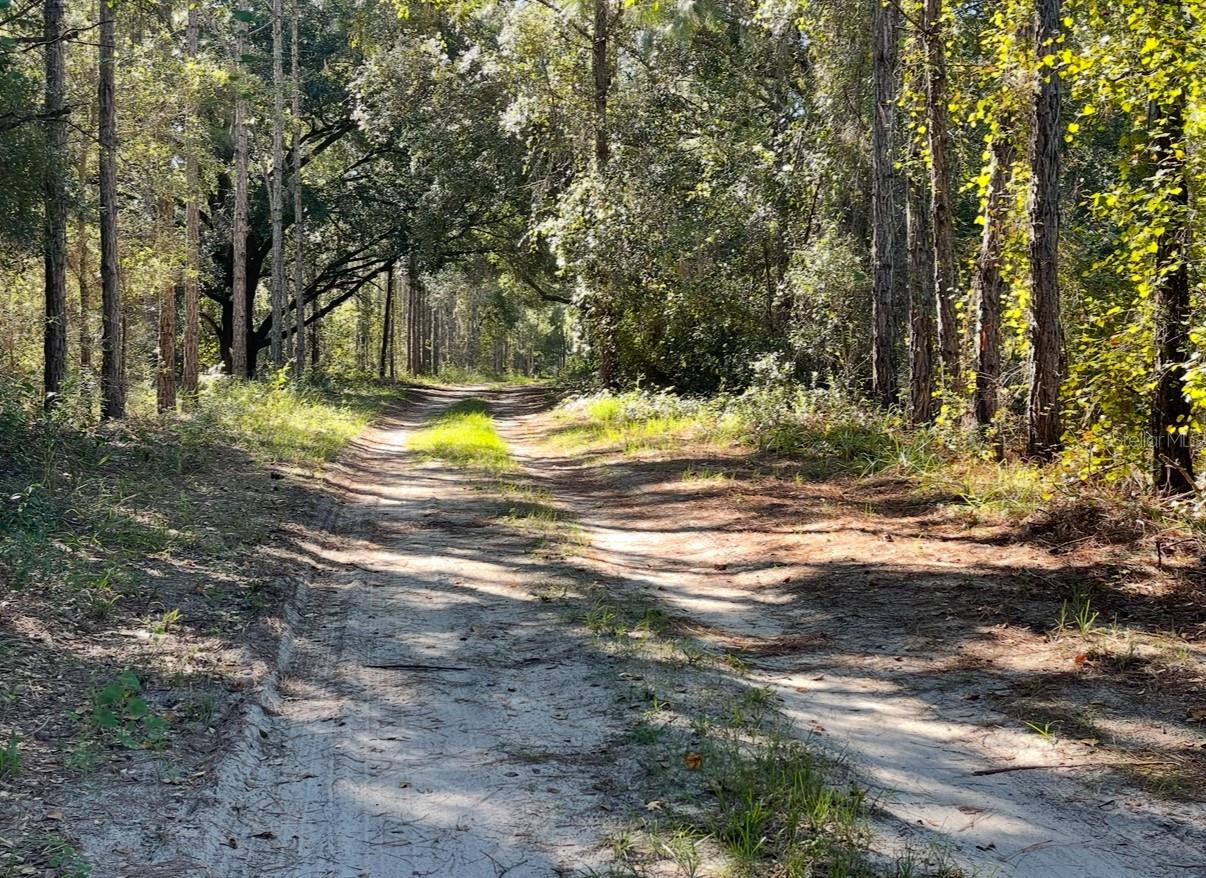 19751 COUNTY ROAD 33, GROVELAND, FL — photo 29