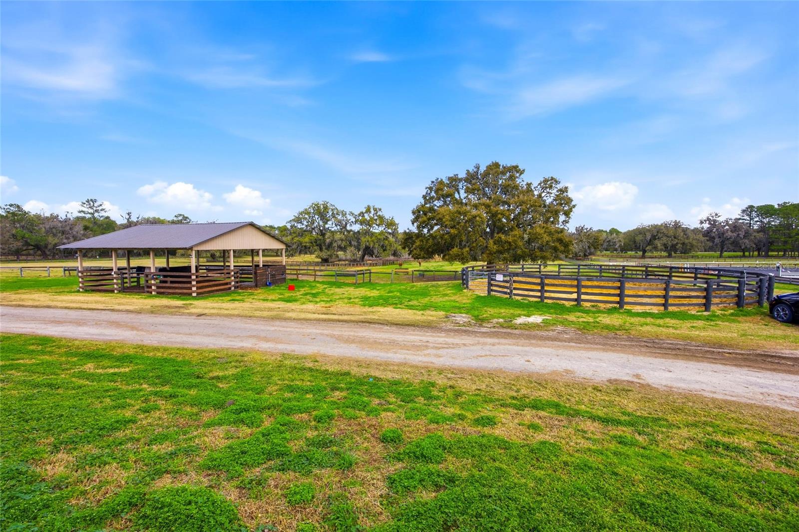 6025 NW 115TH AVE, OCALA, FL — photo 40