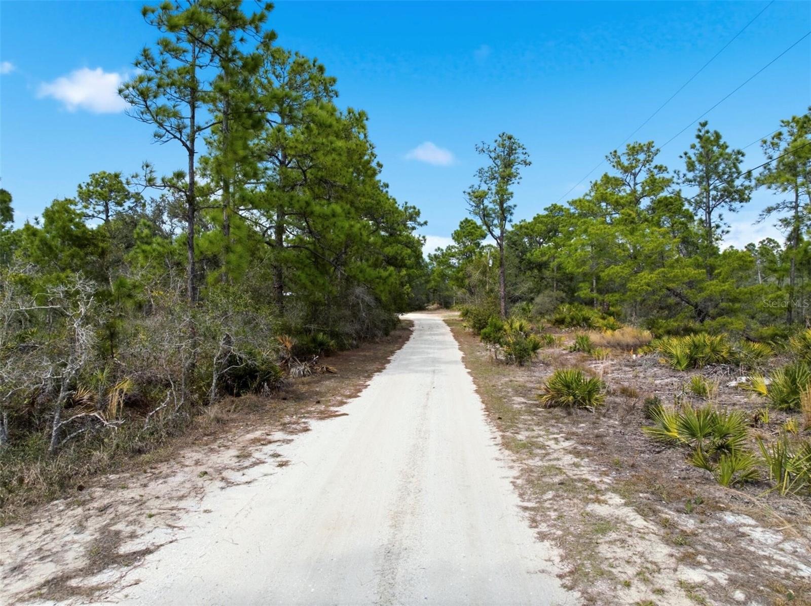 6705 BALSAM PL, SEBRING, FL — photo 9