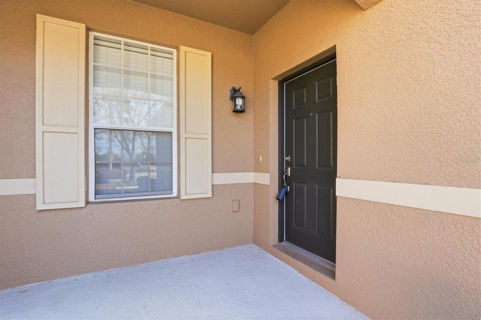 2334 BARRACUDA CT, HOLIDAY, FL — photo 5