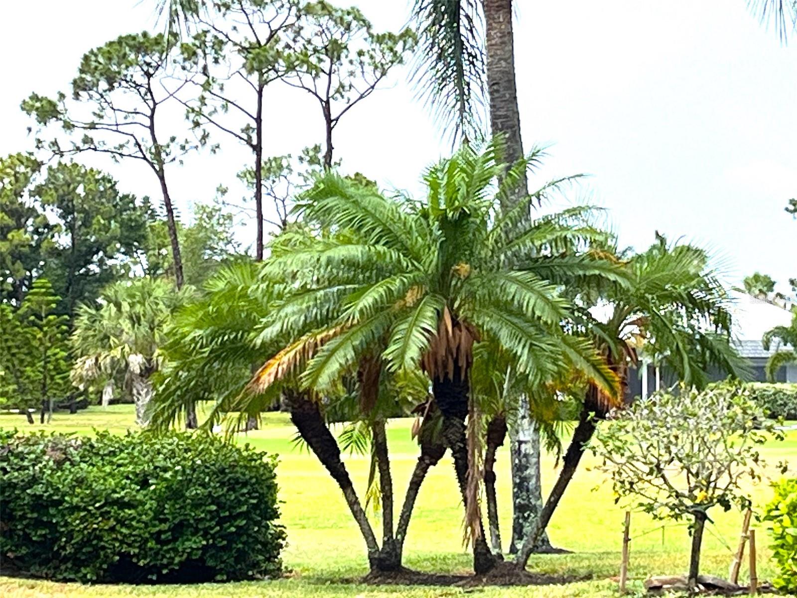 4041 KING TARPON DR, PUNTA GORDA, FL — photo 38