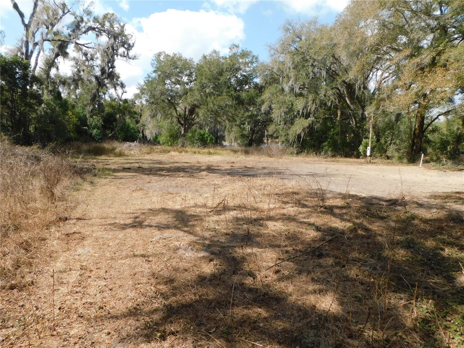 10351 US HIGHWAY 301, DADE CITY, FL — photo 7