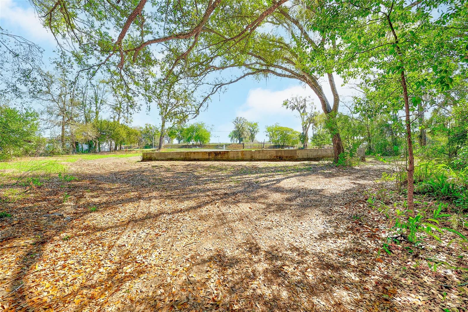 10351 US HIGHWAY 301, DADE CITY, FL — photo 25