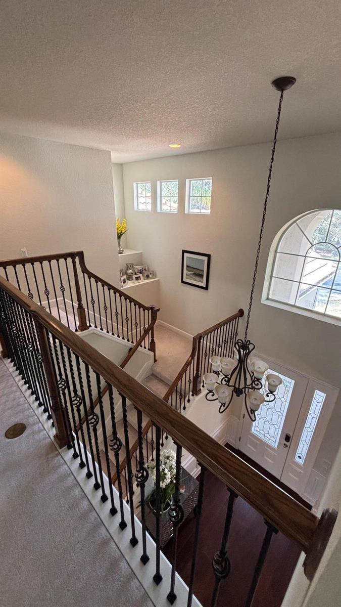 464 DOUGLAS EDWARD DR, OCOEE, FL — photo 13
