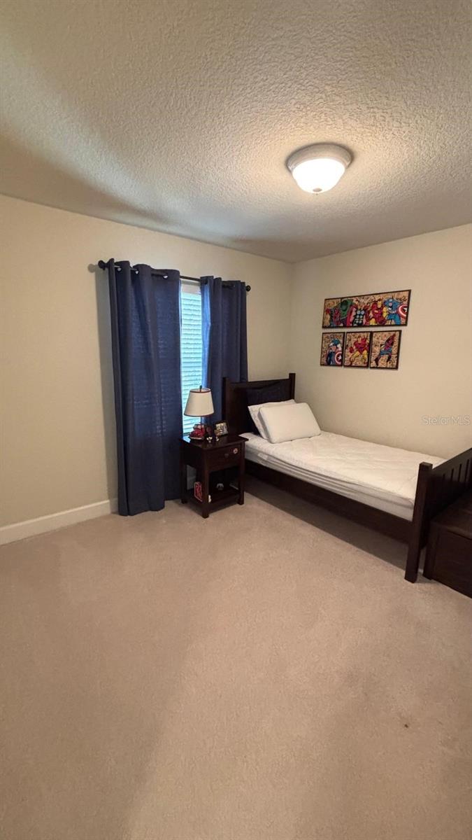 464 DOUGLAS EDWARD DR, OCOEE, FL — photo 19