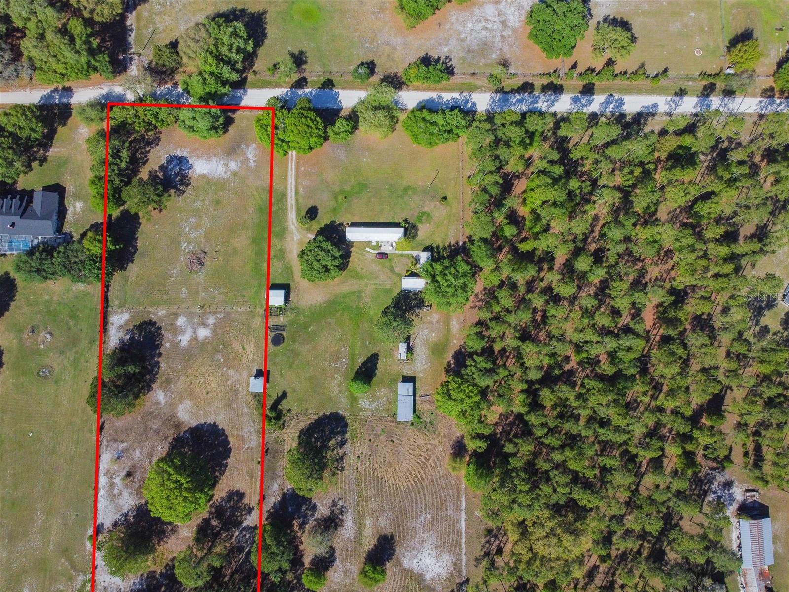 TINA MARIE DR, ZEPHYRHILLS, FL — photo 3