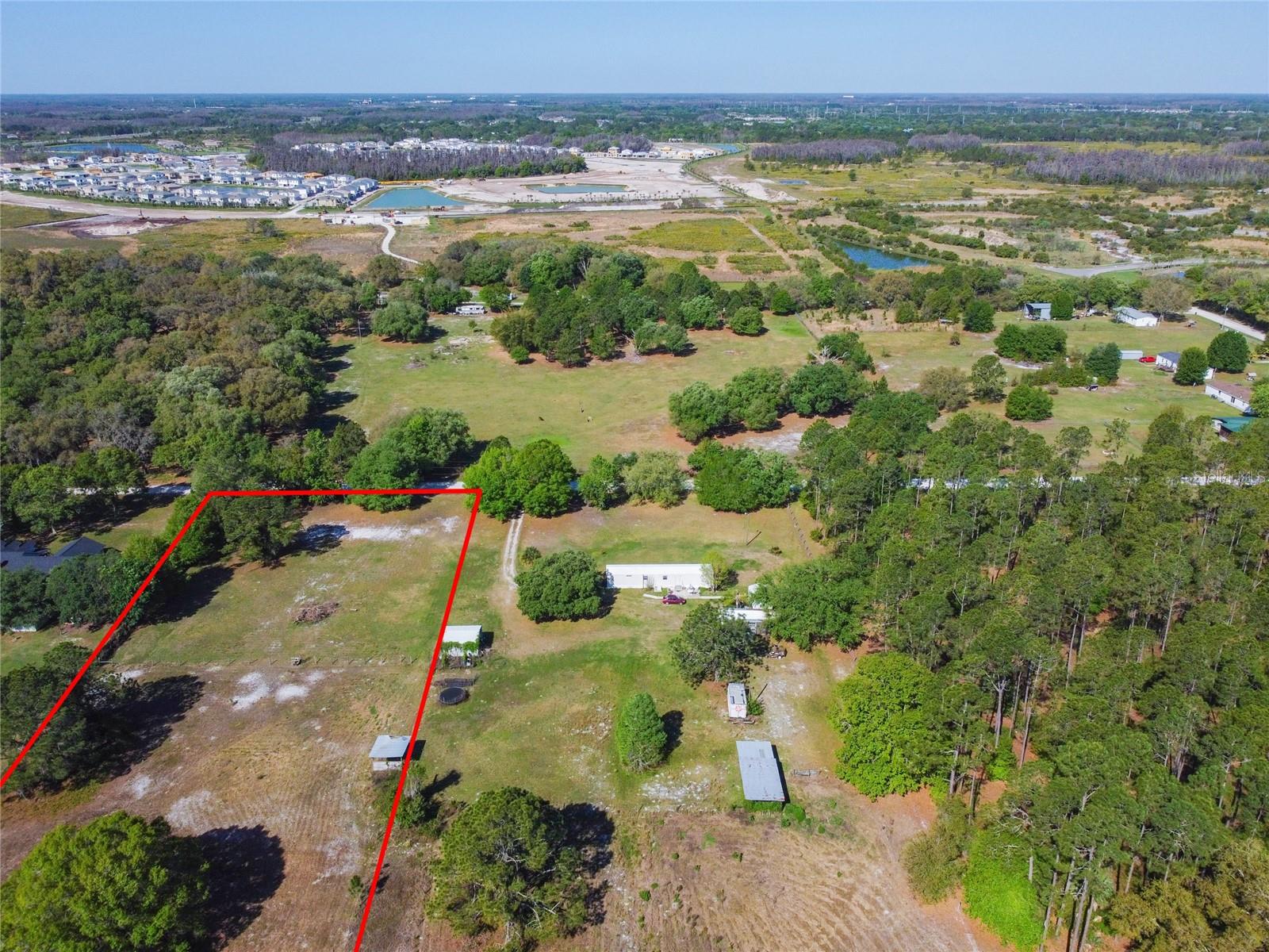 TINA MARIE DR, ZEPHYRHILLS, FL — photo 5