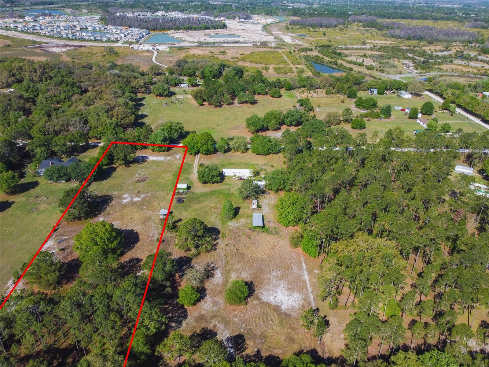 TINA MARIE DR, ZEPHYRHILLS, FL — photo 13