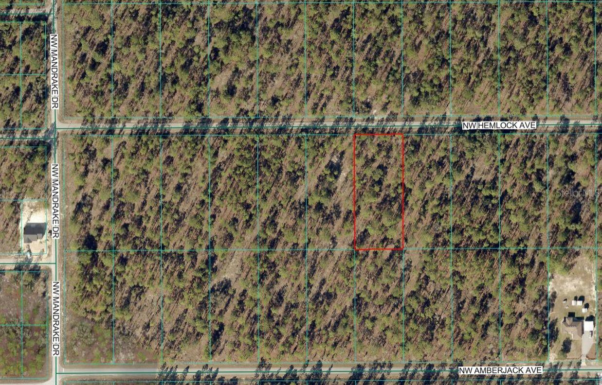 Lot 7 NW HEMLOCK AVE, DUNNELLON, FL — photo 2