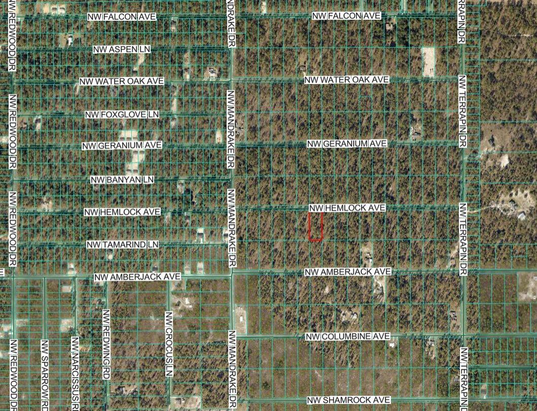 Lot 7 NW HEMLOCK AVE, DUNNELLON, FL — photo 4