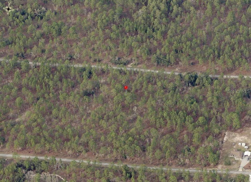 Lot 7 NW HEMLOCK AVE, DUNNELLON, FL — photo 5