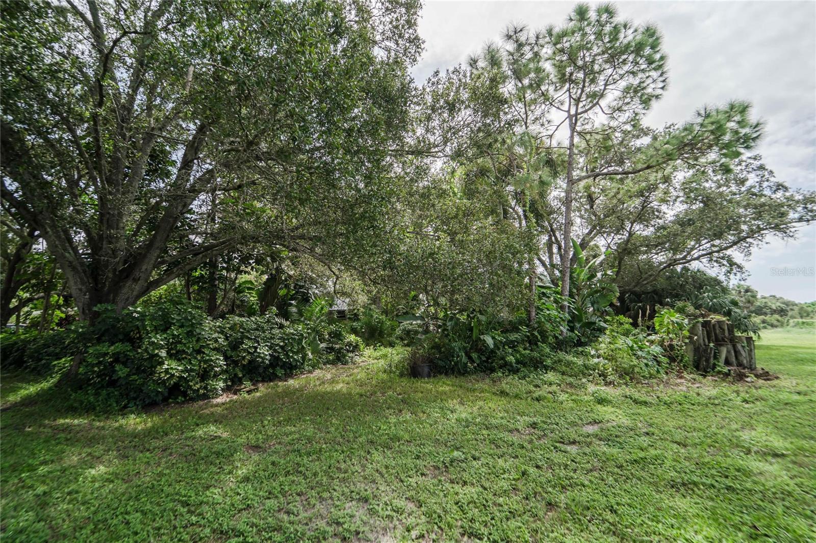 3834 29 AVE, ST PETERSBURG, FL — photo 20
