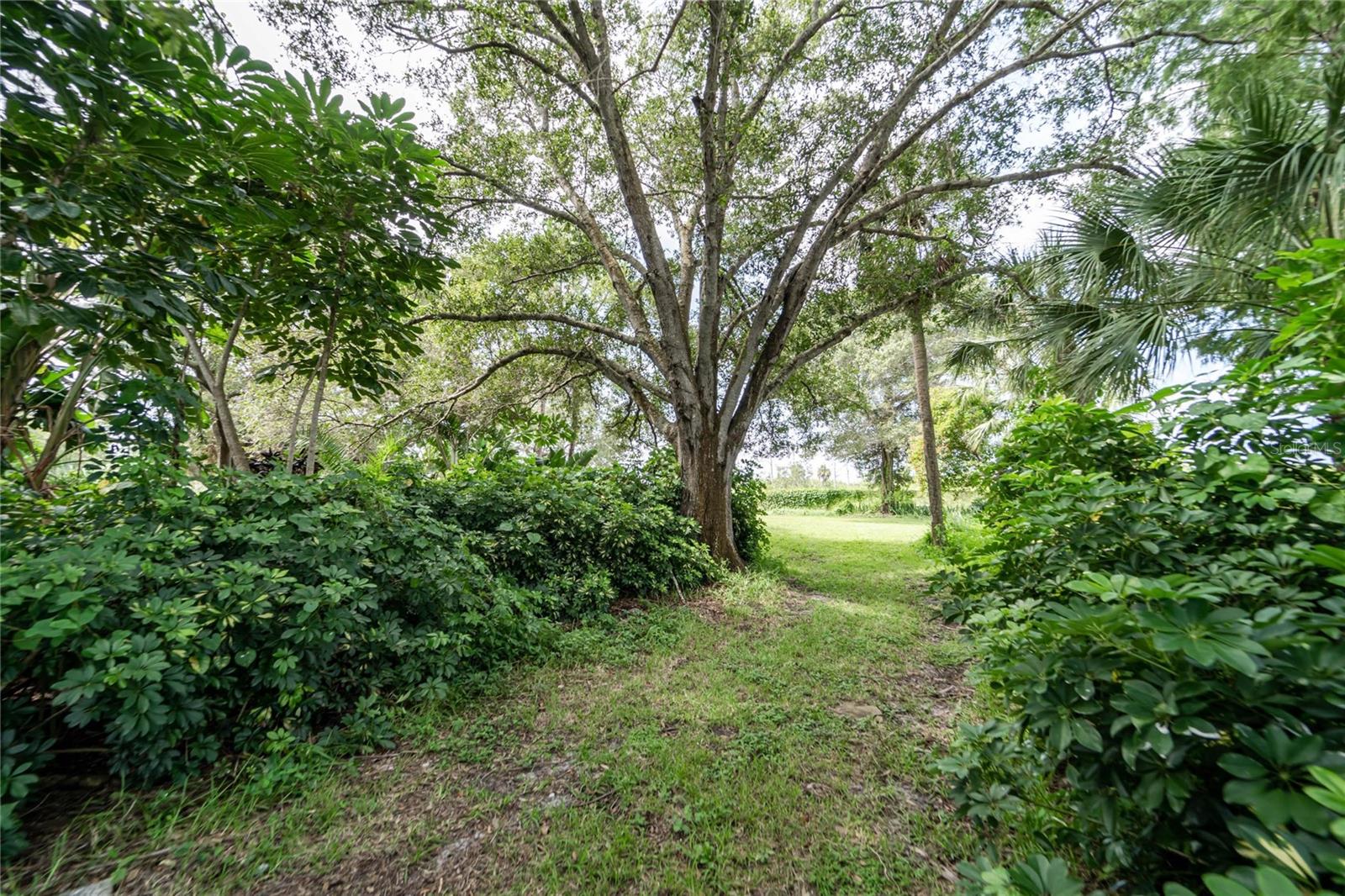 3834 29 AVE, ST PETERSBURG, FL — photo 21