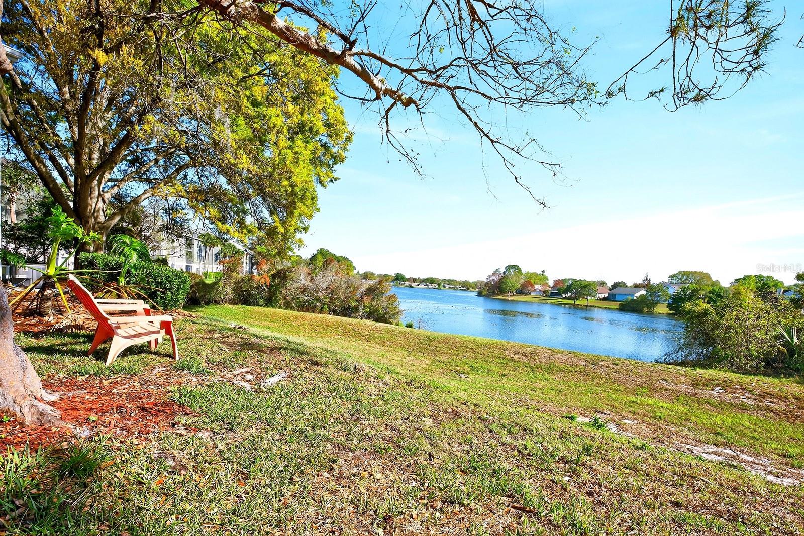 2569 GRASSY POINT DR #207, LAKE MARY, FL — photo 16