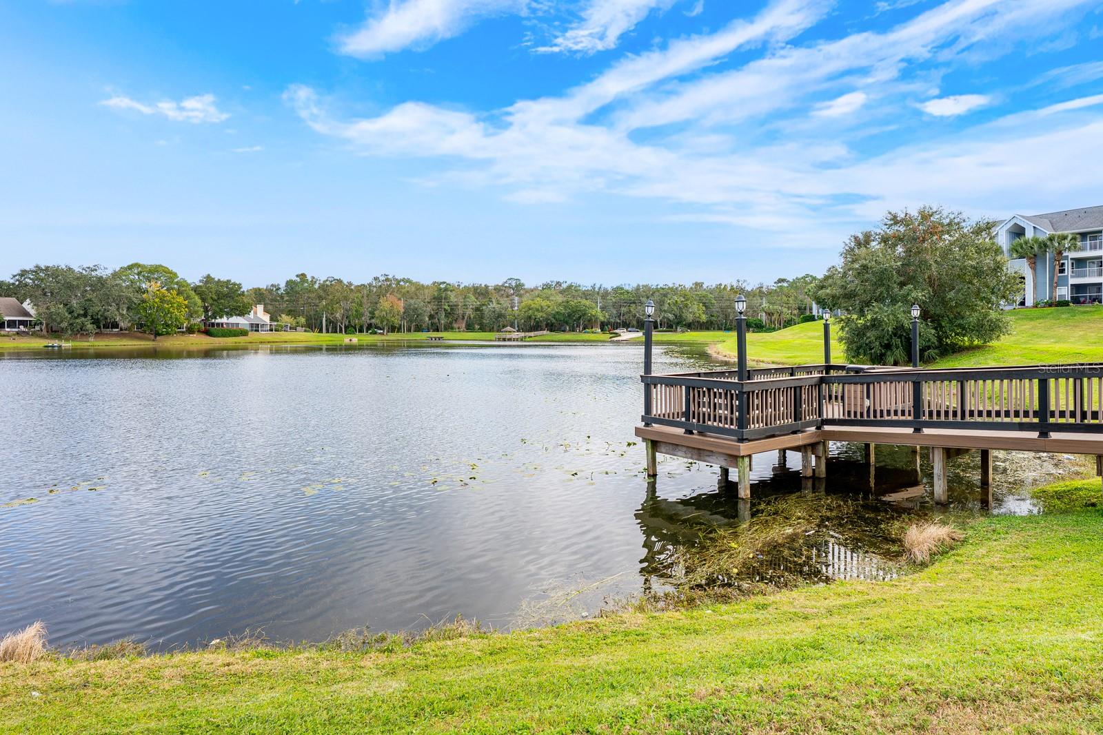2569 GRASSY POINT DR #207, LAKE MARY, FL — photo 17
