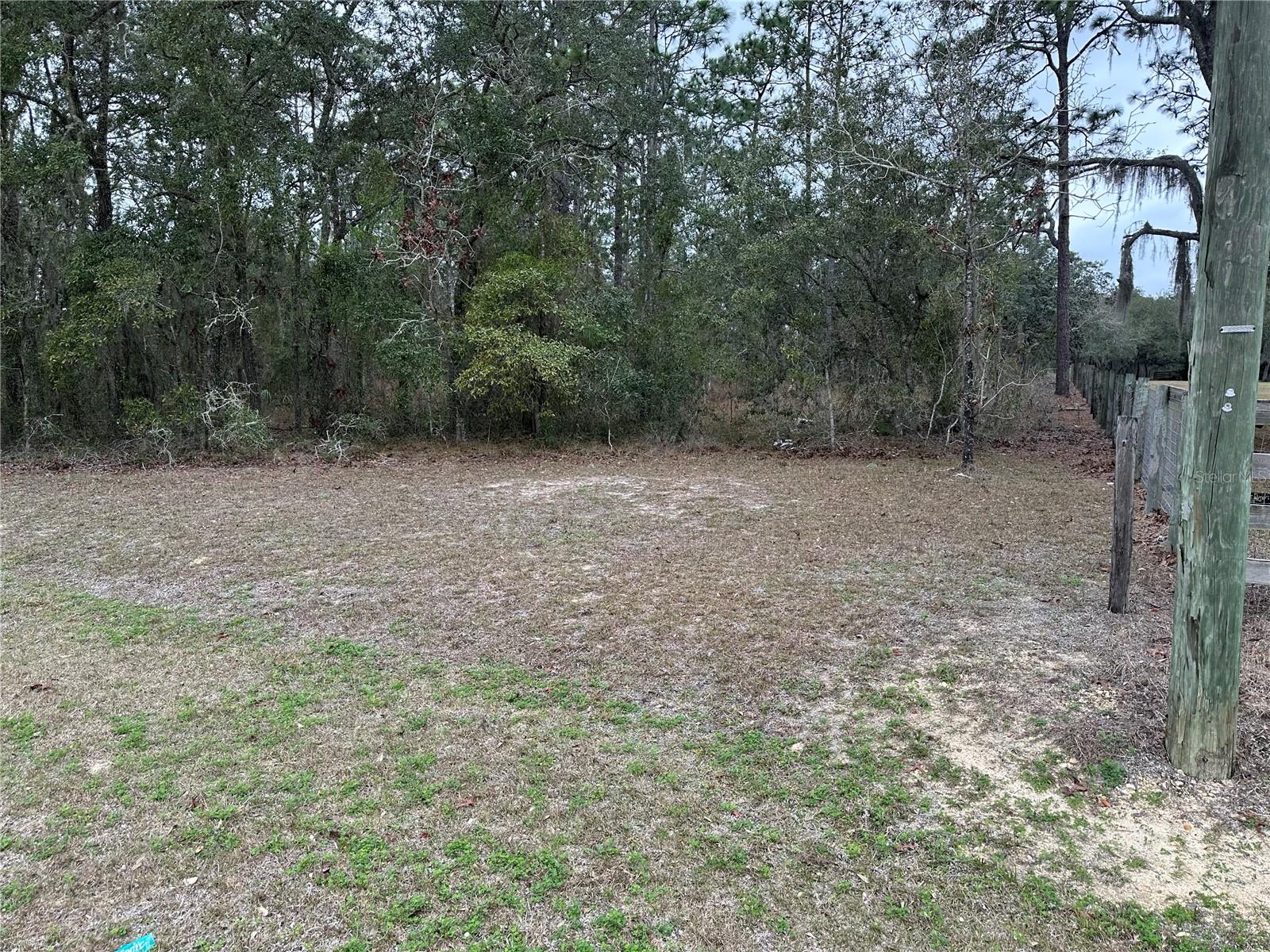 0000 SE 123 RD TER, MORRISTON, FL — photo 2