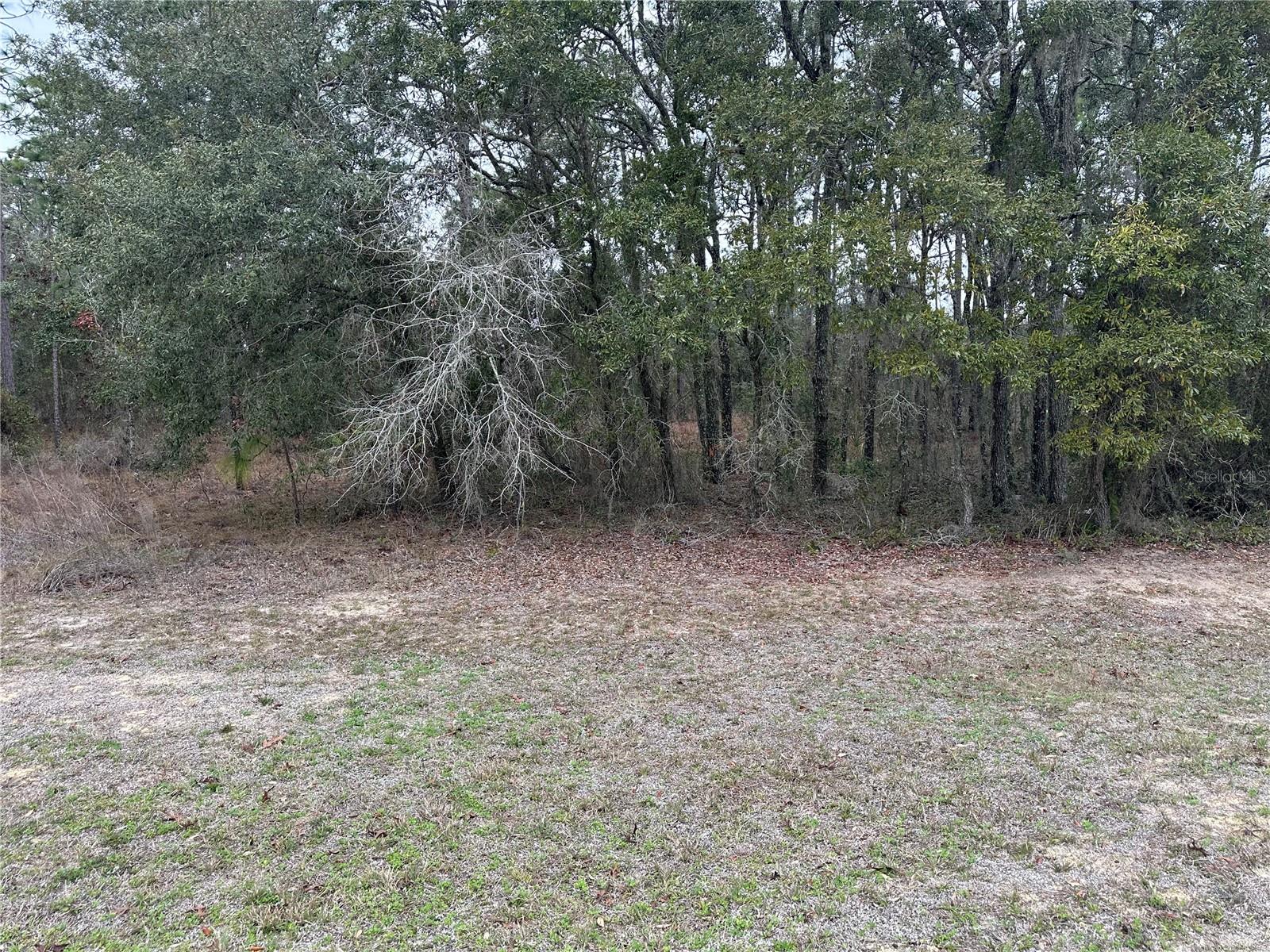 0000 SE 123 RD TER, MORRISTON, FL — photo 5