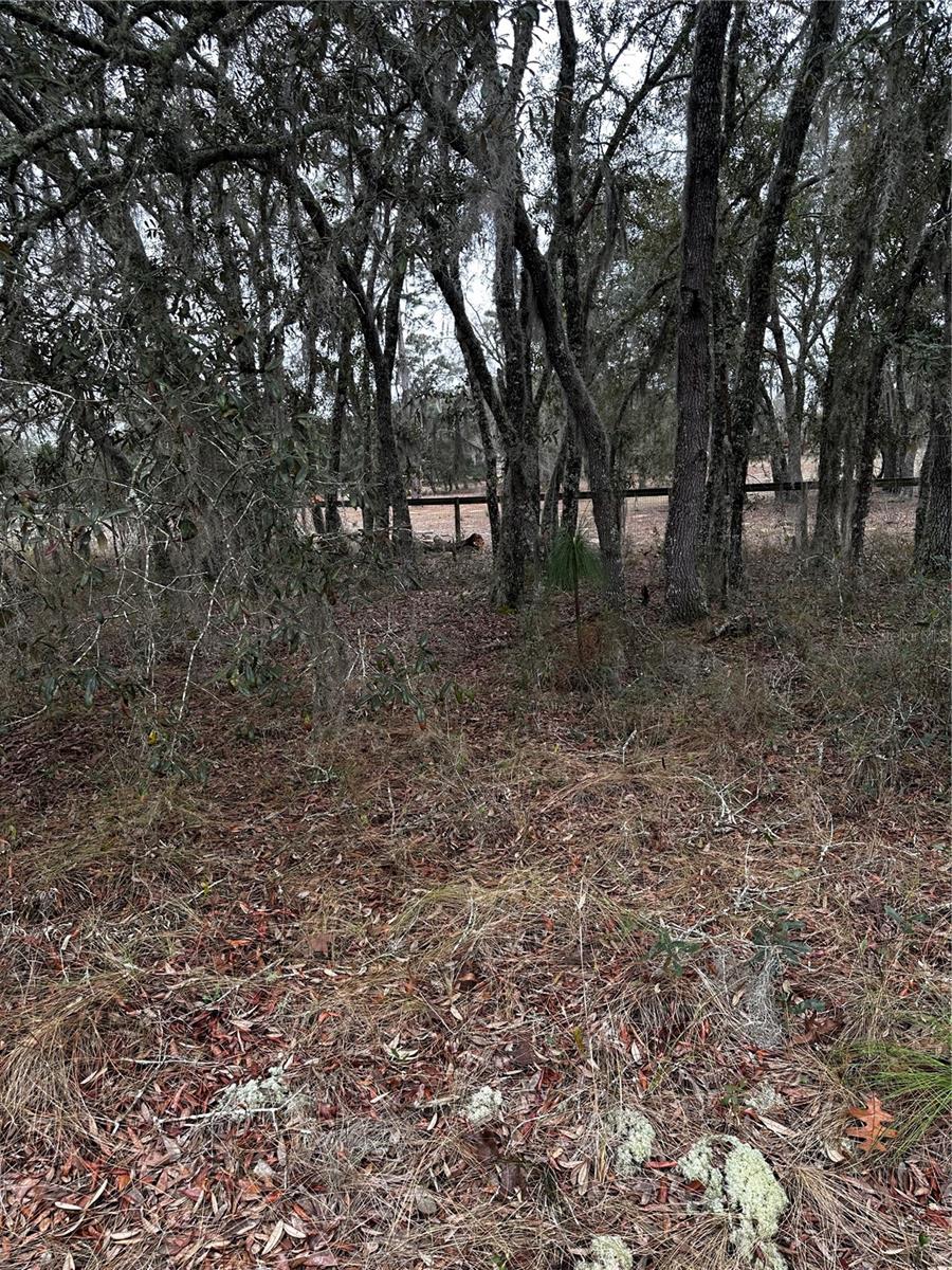 0000 SE 123 RD TER, MORRISTON, FL — photo 10