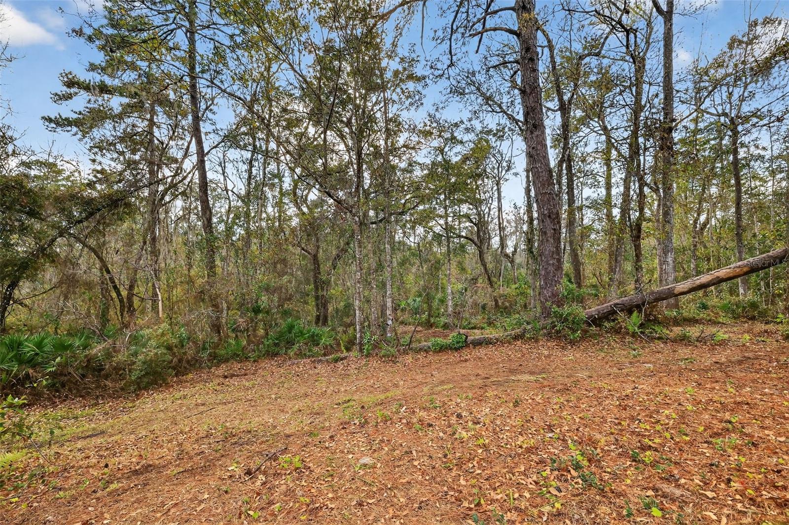 POWELL RD, BROOKSVILLE, FL — photo 6