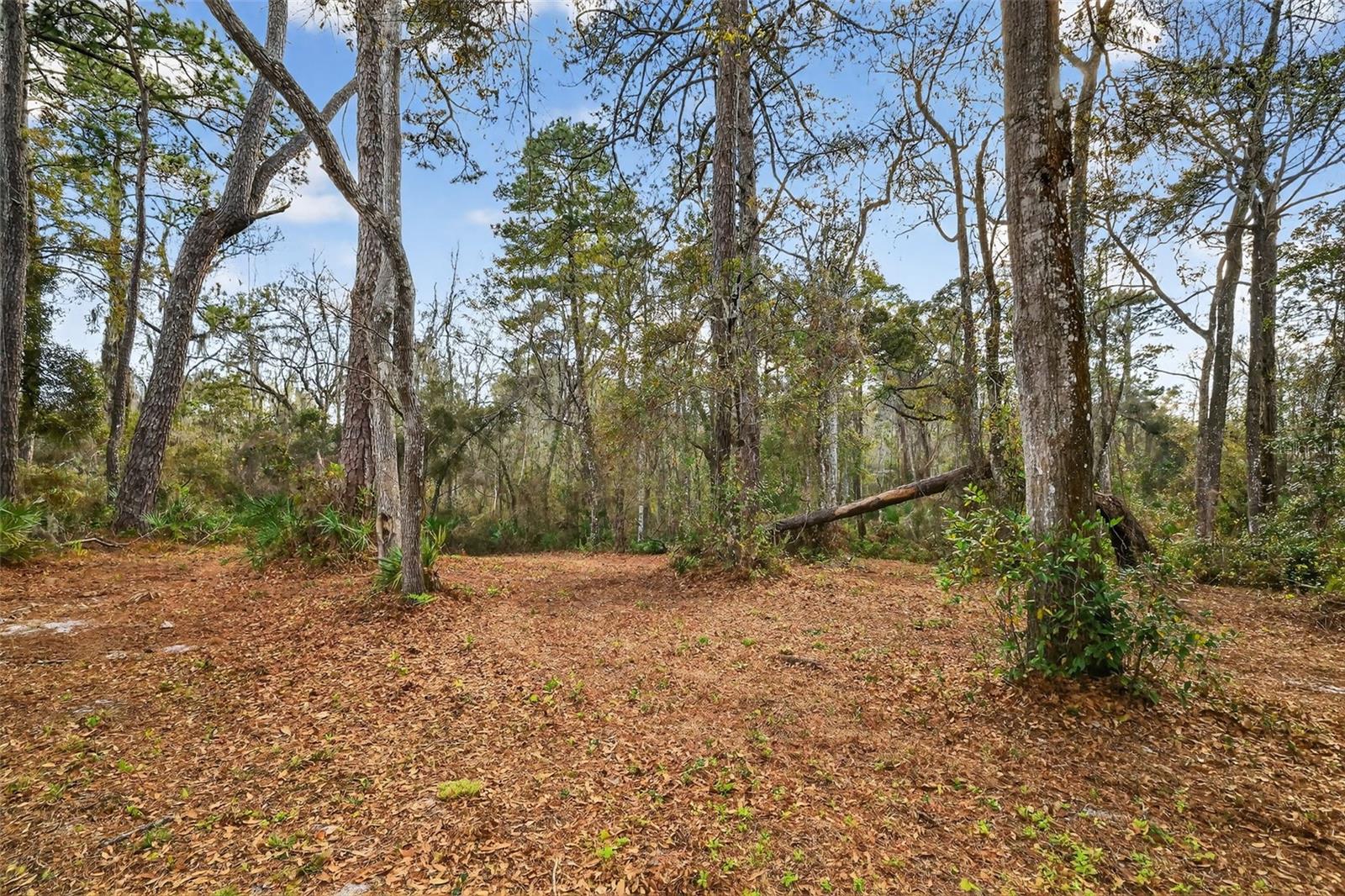 POWELL RD, BROOKSVILLE, FL — photo 7