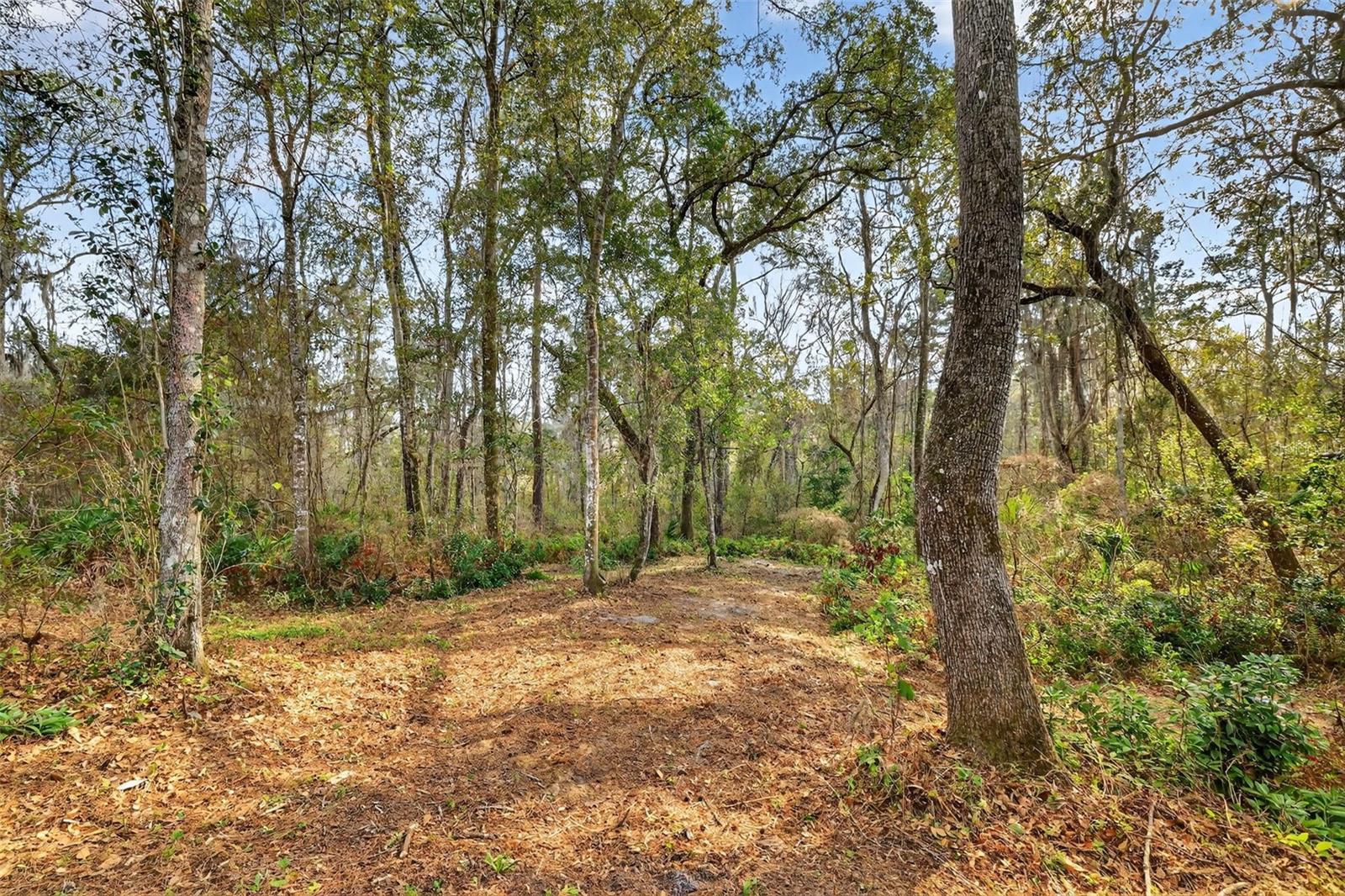 POWELL RD, BROOKSVILLE, FL — photo 8
