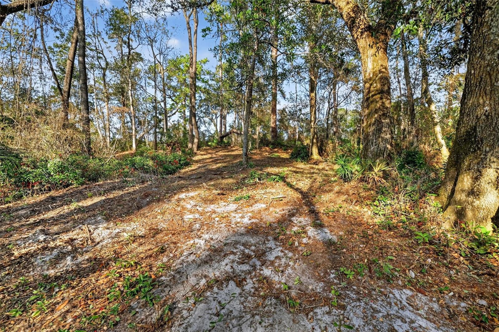 POWELL RD, BROOKSVILLE, FL — photo 9