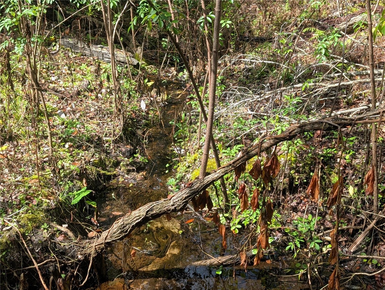 POWELL RD, BROOKSVILLE, FL — photo 15